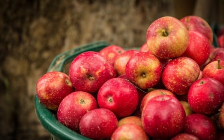 *** Apples *** - fresh, fruits, apples, nature