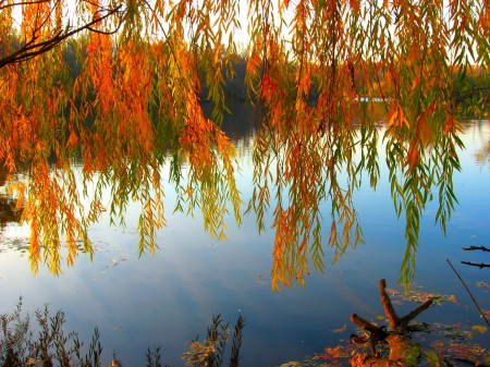 Autumn Day In Wisconsin - Autumn, trees, water, Fall, wisconsin, lake, leaves