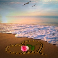 ~*~ My Heart On The Sand ~*~