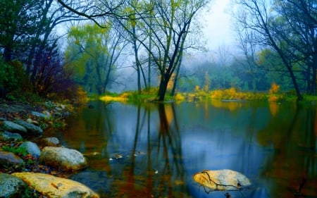 *** Autumn *** - stone, autumn, lake, beach, trees, water, mist, nature, fall, forest, fog, grass