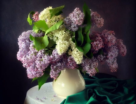 *** LILACS *** - flowers, flower, nature, lilacs