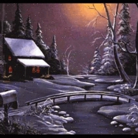 Winter night