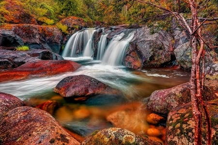 A mountain flow - nice, autumn, trees, stream, waterfall, foliage, rocks, creek, fall, quiet, calmness, river, cascades, mountain, flow, lovely, serenity, forest, beautiful, stones