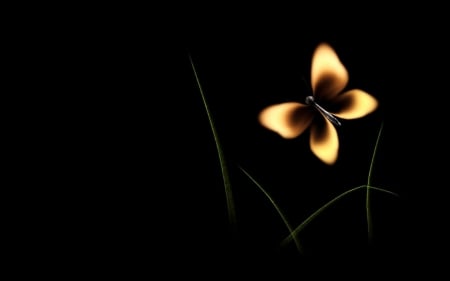 εϊз - butterfly, black background, fire, match