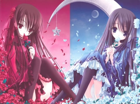 two beautiful twin - girls, moon, roses, manga, anime, twins, blue, red