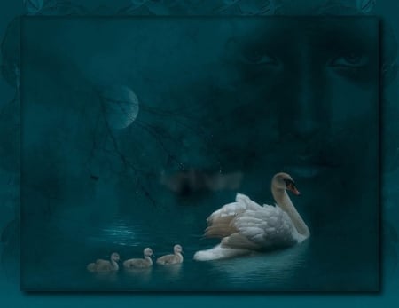 A SWANS NIGHT