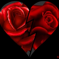 RED ROSE BROKEN HEART