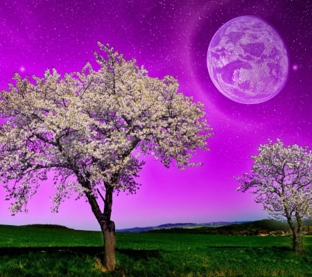 Fantasy night - moon, nature, purple, scenary, night, fantasy