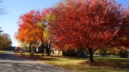 Unspeakable Beauty - nature beauty, gorgeous autumn, beautiful nature, beautiful autumn, unspeakable beauty