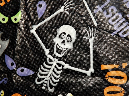 spooky fun - white, halloween, bones, black, skeleton