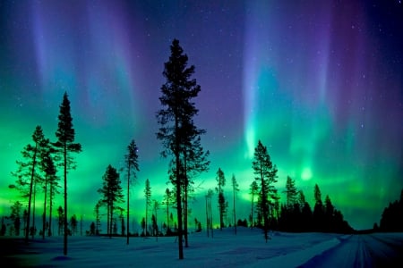 DYNAMIC AURORA - aurora, northern, lights, phenomena, sky