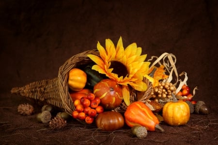 Cornucopia~Thanksgiving - nuts, sunflower, autumn, pumpkin, cornucopia, thanksgiving, berries, still life, gourds, acorns, pumpkins, fall, pine cones, leaves, horn of plenty