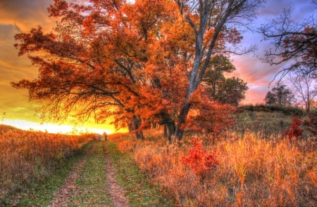 Countryside Sunset! - nature, autumn, landscape, countryside, sunset