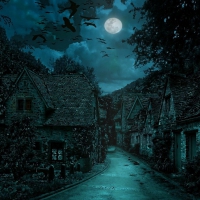 NITE VILLAGE