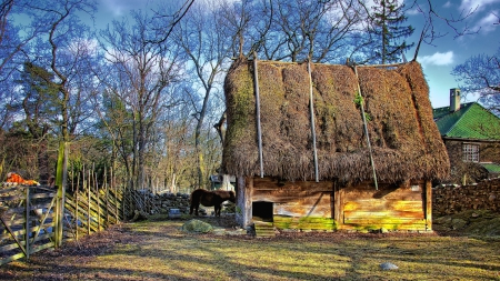 skansen open air museum in stockholm sweden - fence, pony, trees, huts, museum