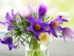 *** Bouquet in violet ***