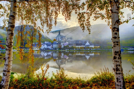 CITY in FOG - trees, water, coast, fog, city, birch, ellenz, poltersdorf, germany