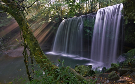 Two Waterfalls - forest, sunrise, trees, waterfall