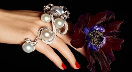 pearls and velvet flower - flower, beautiful, photography, still life, pearls