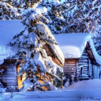 Mountain Cabins