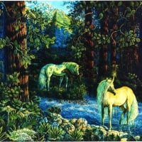 Unicorns in Forest