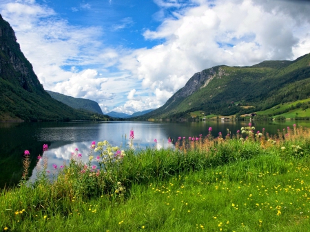 Calm lake - beautiful, quiet, grass, nature, mountain, greenery, water, flowers, serenity, shore, lake, sky, calmness, reflection, nice, clouds, lovely