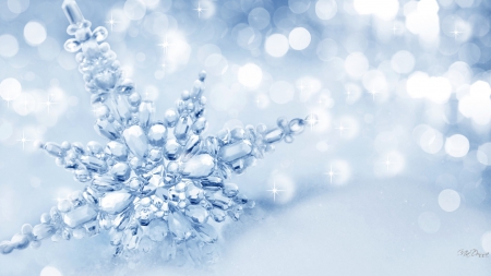 Winter Prize - bokeh, snowflake, soft, snow, blue, shine, christmas