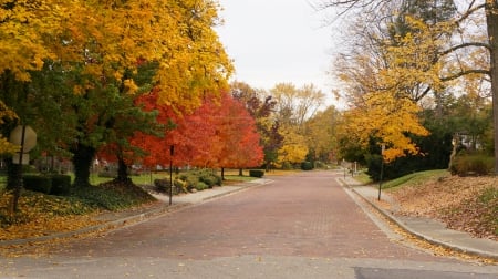 Autumn Neighborhood - autumn home, scenic autumn, fall neighborhood, autumn neighborhood, auutmn house, autumn town