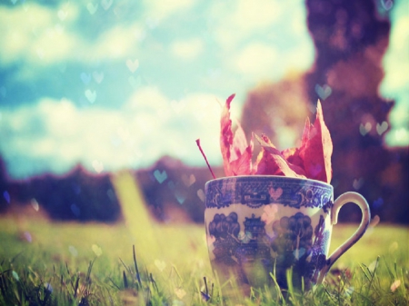 Autumn wishes - sky, hearts, autumn, clouds, coffee cup, leaves, grass