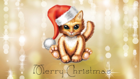 Merry Christmas - abstract, bokeh, cats, holidays, Merry Christmas