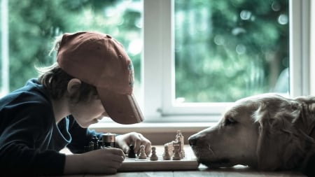 Checkmate - pretty, beautiful, dog face, puppies, lovely, playful dog, sweet, playful, dogs, cute, face, puppy, animals