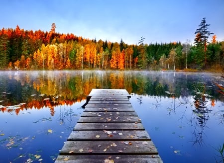 November - pretty, reflection, leaves, golden, nice, falling, branches, beautiful, mirrored, colors, lovely, tree, fall, glow, colorful, nature, november, autumn, foliage, shine