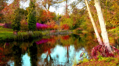 AUTUMN LAKE - garden, lake, woodland, autumn