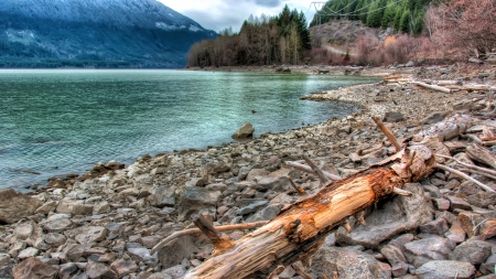 logs on shore of lake lillooet in british columbia - lake, mountains, rocks, shore, logs