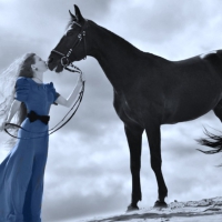 Blue friendship