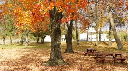 Autumn In The Park - autumn in the park, autumn park, autumn view, scenic autumn