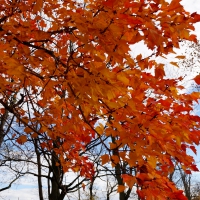 Beautiful Autumn Day