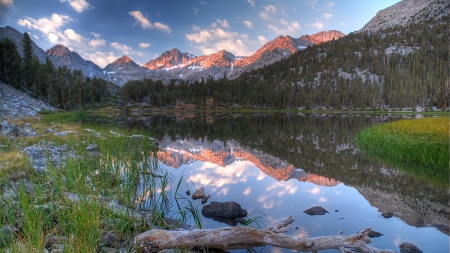 beautiful heart lake in rock creek california - lake, forest, mountains, reflection, log, grass