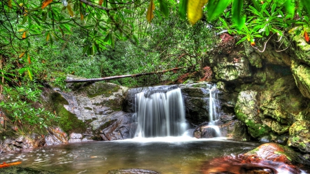 beautiful waterfall in a forest hdr - forest, rockas, hdr, waterfall, pool