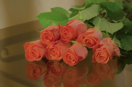 * Roses * - lovely, roses, flower, soft