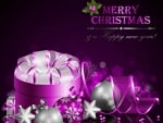 Merry Christmas & a Happy New Year