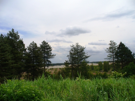 Shifting sands areas in the Netherlands - nature, view, sky, forest, trees