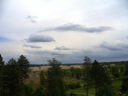 Shifting sands areas in the Netherlands #2 - nature, sky, trees, forest, sand