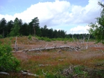 Shifting sands areas in the Netherlands #3