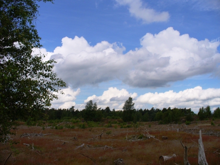 Magic Sky - nature, sky, sand, trees