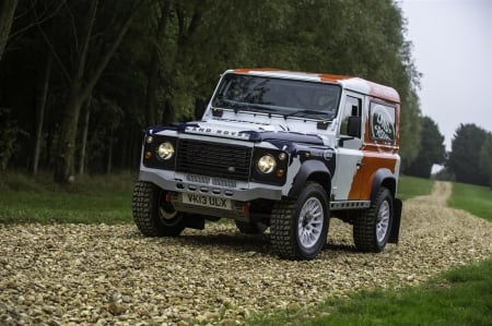 Land Rover Defender - rally, thrill, offroad, 4x4