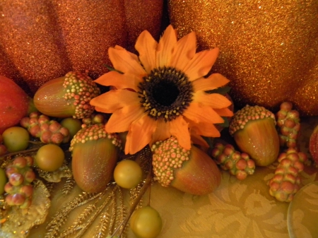 Autumn Still Life - Autumn, sunflower, nuts, pumpkins, Fall, acorns, Thanksgiving, still life