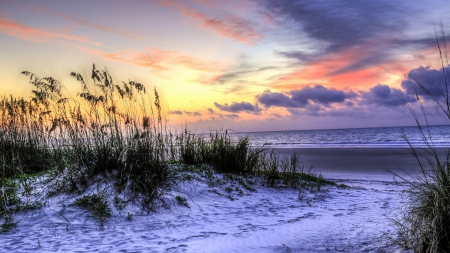 glorious beach at hilton head south carolina hdr - beach, hdr, sea, sunrise, dunes, grass