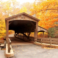 Covered Bridge in Autumn Forest