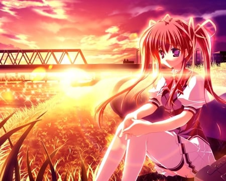 anime girl - pretty, anime, sunset, girl, cute